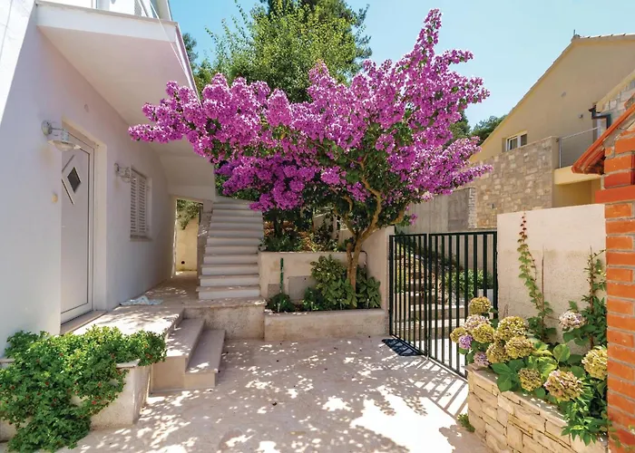 Amazing In With Wifi *